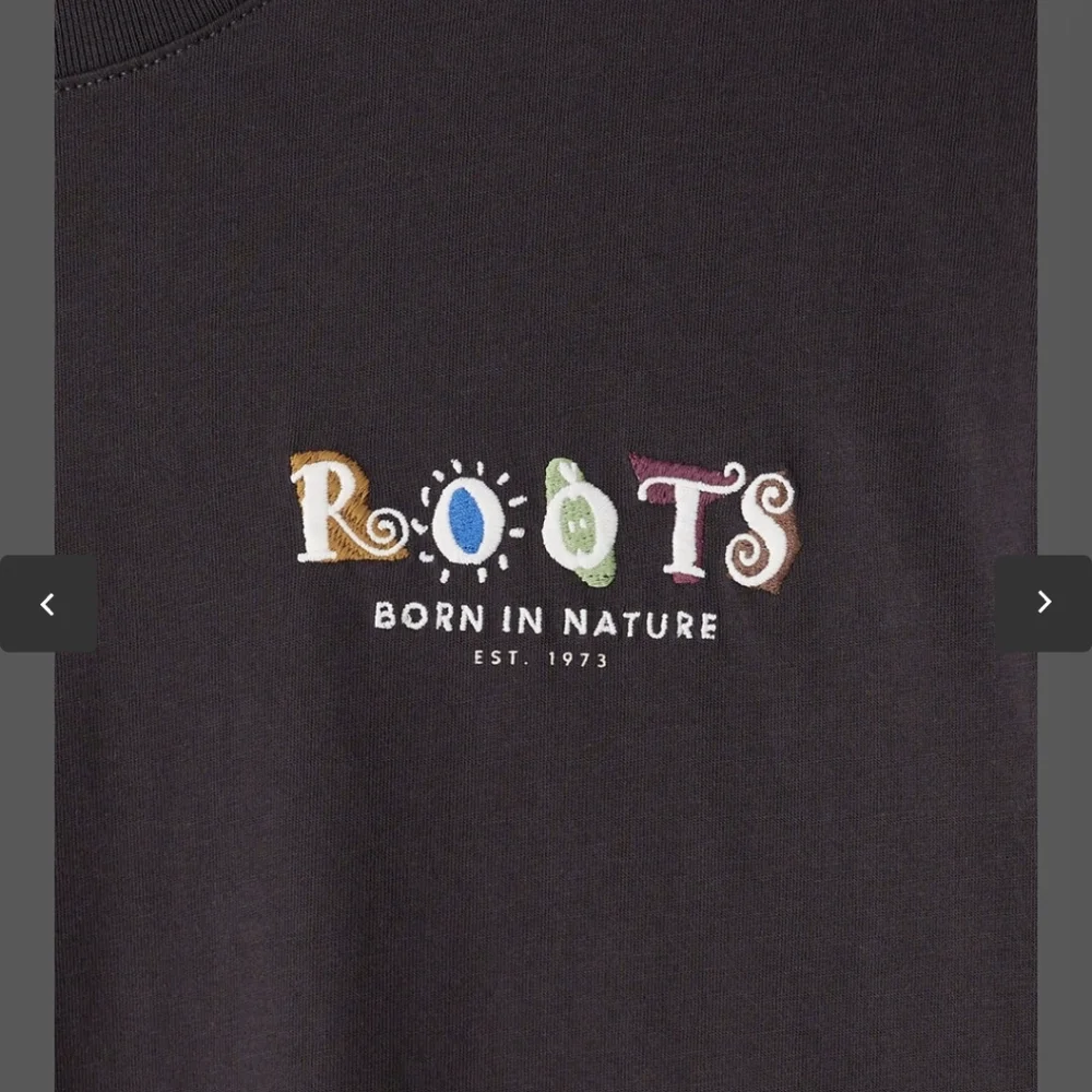 Roots Men's Charcoal Tee - Picture 4 of 9